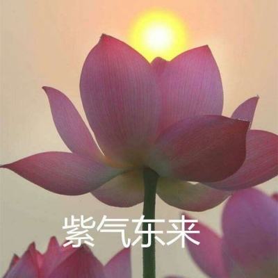 风之谷台服下载